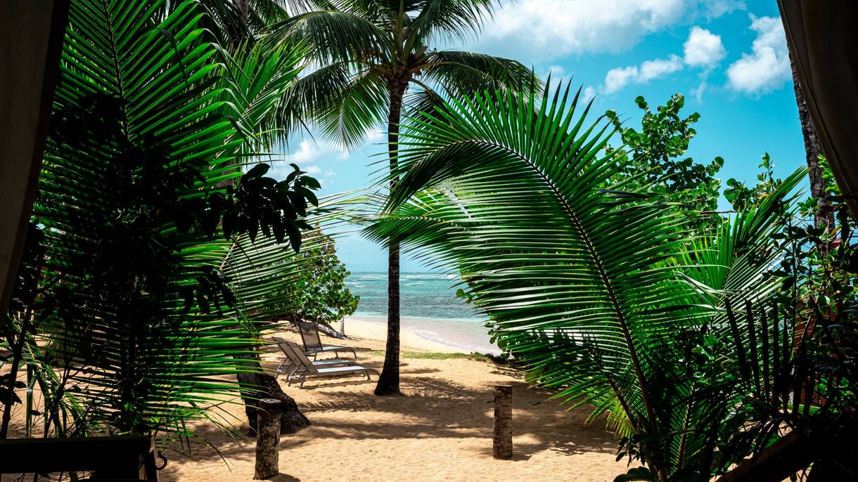 Punta Cana Experiences