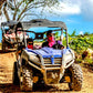 Buggy Tour in Punta Cana (Beach • Cave • Tasting)